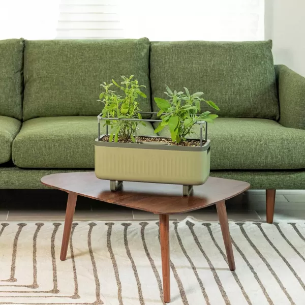 imageVego garden Herb Planter Box with Trellis ampamp Mini Planter Indoor Pots with Trellis Sage Green