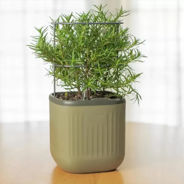 imageVego garden Mini Planter Indoor Pots with Trellis SelfWatering Herb Countertop Planter for Climbing Vegetables Flowers Mint Plants Cage 2 Pack Cream WhiteSage Green