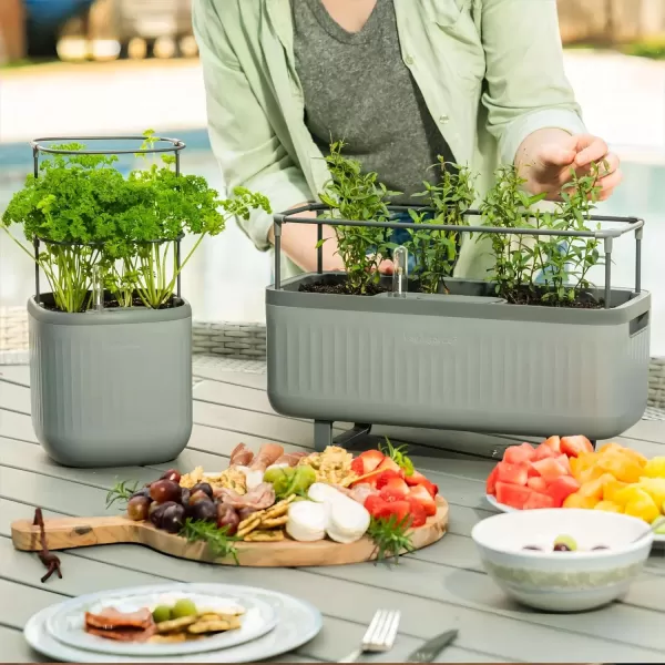 imageVego garden Mini Planter Indoor Pots with Trellis SelfWatering Herb Countertop Planter for Climbing Vegetables Flowers Mint Plants Cage 2 Pack Cream WhiteFog Gray