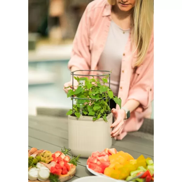 imageVego garden Mini Planter Indoor Pots with Trellis SelfWatering Herb Countertop Planter for Climbing Vegetables Flowers Mint Plants Cage 2 Pack Cream WhiteCream White