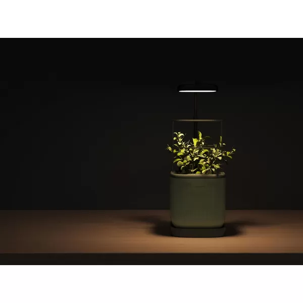imageVego garden Mini Planter Indoor Pots with Trellis SelfWatering Herb Countertop Planter for Climbing Vegetables Flowers Mint Plants Cage 2 Pack Cream WhiteCream White