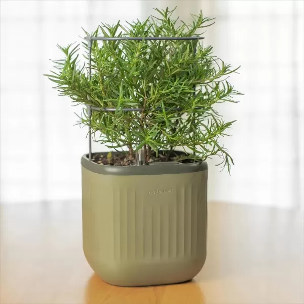 imageVego garden Mini Planter Indoor Pots with Trellis SelfWatering Herb Countertop Planter for Climbing Vegetables Flowers Mint Plants Cage 2 Pack Cream WhiteSage Green