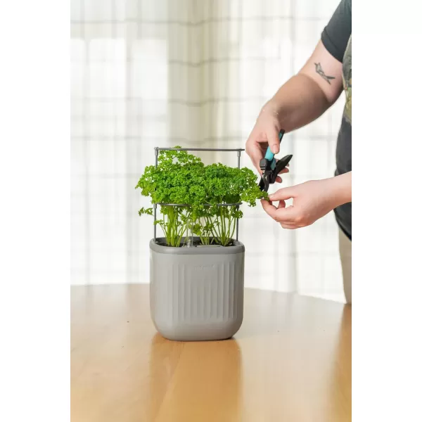 imageVego garden Mini Planter Indoor Pots with Trellis SelfWatering Herb Countertop Planter for Climbing Vegetables Flowers Mint Plants Cage 2 Pack Cream WhiteFog Gray