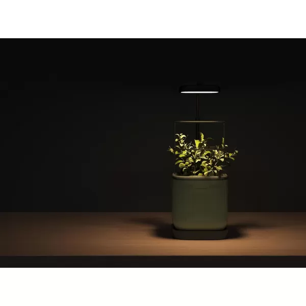 imageVego garden Mini Planter Indoor Pots with Trellis SelfWatering Herb Countertop Planter for Climbing Vegetables Flowers Mint Plants Cage 2 Pack Cream WhiteCream White