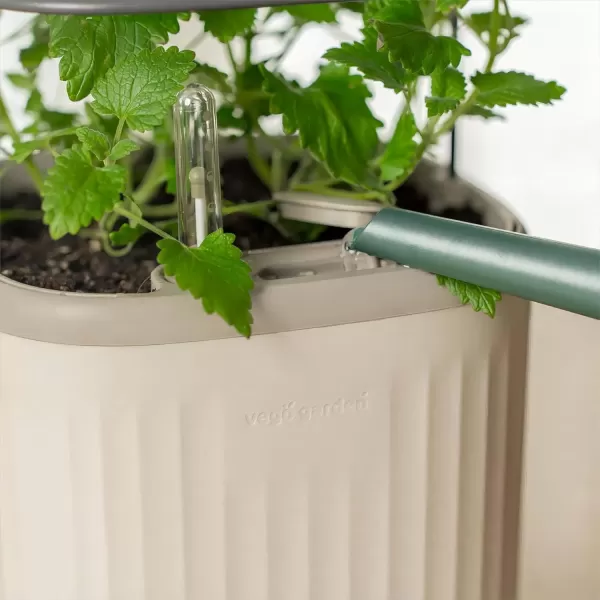imageVego garden Mini Planter Indoor Pots with Trellis SelfWatering Herb Countertop Planter for Climbing Vegetables Flowers Mint Plants Cage 2 Pack Cream WhiteCream White