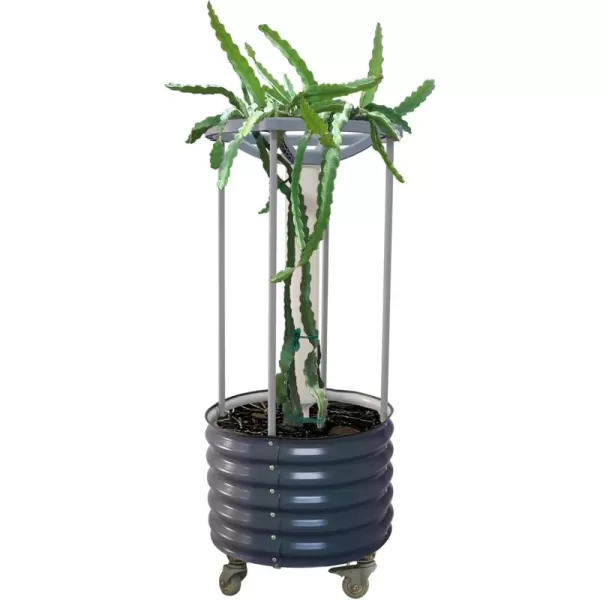 imageVego garden Dragon Fruit SelfWatering Rolling PlanterPearl WhiteModern Gray