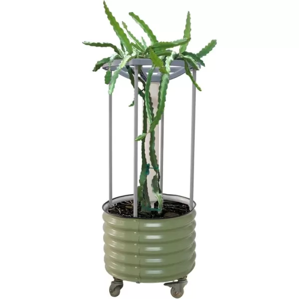 imageVego garden Dragon Fruit SelfWatering Rolling PlanterPearl WhiteOlive Green