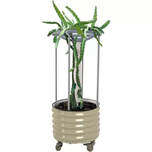 imageVego garden Dragon Fruit SelfWatering Rolling PlanterPearl WhitePearl White