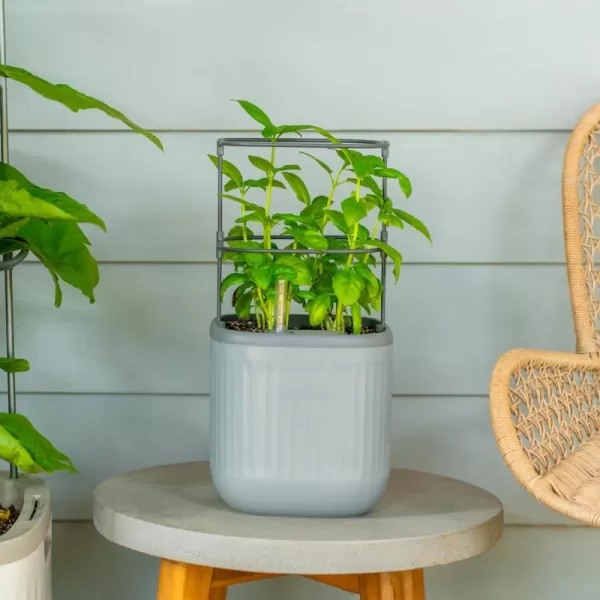 imageVego garden Mini Planter Indoor Pots with Trellis SelfWatering Herb Countertop Planter for Climbing Vegetables Flowers Mint Plants Cage 2 Pack Cream WhiteFog Gray