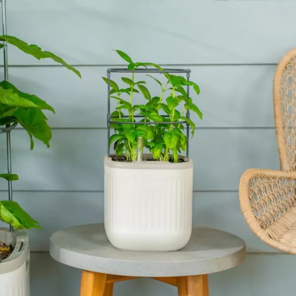 imageVego garden Mini Planter Indoor Pots with Trellis SelfWatering Herb Countertop Planter for Climbing Vegetables Flowers Mint Plants Cage 2 Pack Cream WhiteCream White