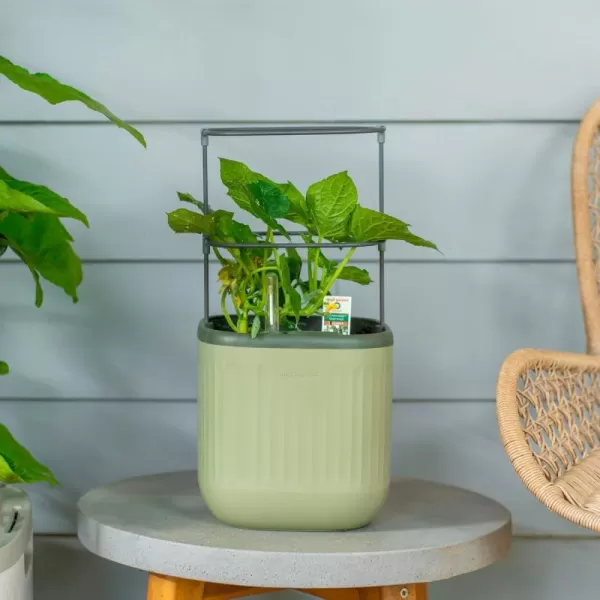 imageVego garden Mini Planter Indoor Pots with Trellis SelfWatering Herb Countertop Planter for Climbing Vegetables Flowers Mint Plants Cage 2 Pack Cream WhiteSage Green