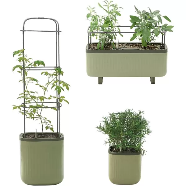 imageVego garden Tomato Planter Box ampamp Herb Planter Indoor Pots ampamp Countertop Planter Cage with Trellis SelfWatering Planter Box  Sage Green