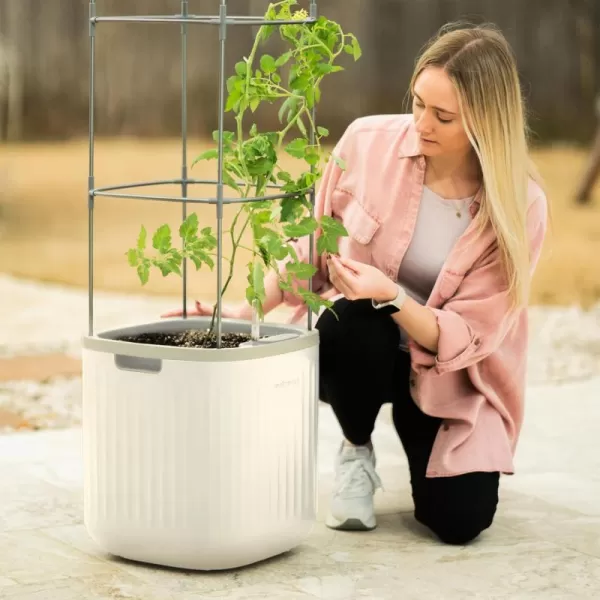 imageVego garden Tomato Planter Box with Trellis SelfWatering Rolling Raised Garden Bed for Climbing Vegetables Plants Cage  Sage GreenCream White