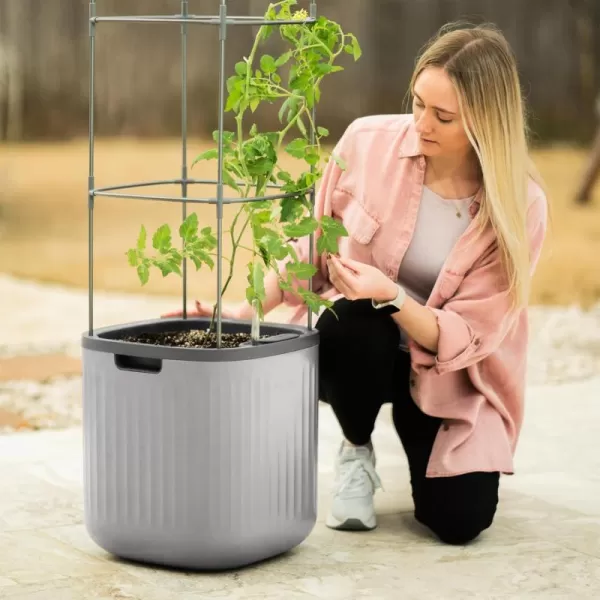 imageVego garden Tomato Planter Box with Trellis SelfWatering Rolling Raised Garden Bed for Climbing Vegetables Plants Cage  Sage GreenFog Gray