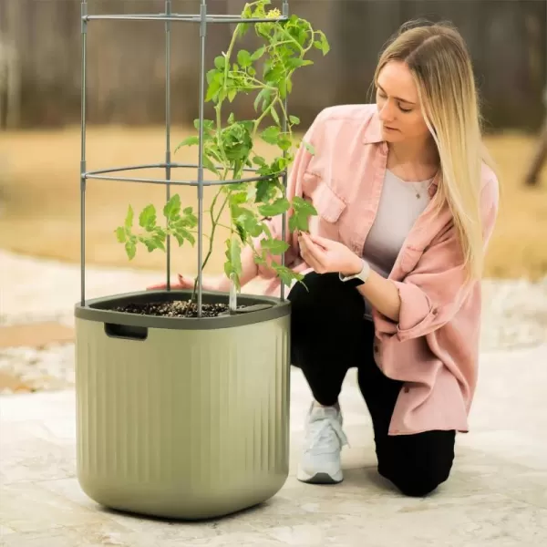 imageVego garden Tomato Planter Box with Trellis SelfWatering Rolling Raised Garden Bed for Climbing Vegetables Plants Cage  Sage GreenSage Green