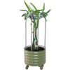 imageVego garden Dragon Fruit Planter Pot with Self Watering Wicking Cell and Trellis Olive GreenOlive Green