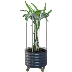 imageVego garden Dragon Fruit Planter Pot with Self Watering Wicking Cell and Trellis Olive GreenModern Gray