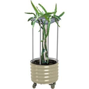 imageVego garden Dragon Fruit Planter Pot with Self Watering Wicking Cell and Trellis Olive GreenPearl White