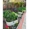 imageVego garden 17quot Tall 6 in 1 Raised Garden Bed Pearl White with 4Pack Solar Garden Lights