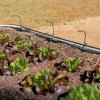 imageVego Garden Irrigation Kit  Drip Irrigation System for Raised Garden Beds Efficient Watering Solution for Vegetables Flowers and Plants Easy DIY Installation