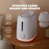 imageFrida Baby 3in1 Cool Mist Humidifier for Baby with Diffuser  Nightlight Baby Humidifier for Bedroom Nursery  Large Rooms Quiet Auto Shut Off Runs 24hrs16 Gallon Tank 60 Liter Tank