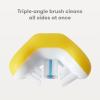 imageFrida Baby Babys First Finger Toothbrush with Storage Case 3 Months and Up 1pk1 Count Pack of 1