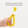 imageFrida Baby Babys First Finger Toothbrush with Storage Case 3 Months and Up 1pk1 Count Pack of 1