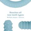 imageFrida Baby GetAGrip BabyTeether for Teething Relief  100 FoodGrade Silicone Teething Toys for Baby 06 12 18 Months Infant BPAFree PVCFree  PinkMuted Blue