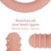 imageFrida Baby GetAGrip BabyTeether for Teething Relief  100 FoodGrade Silicone Teething Toys for Baby 06 12 18 Months Infant BPAFree PVCFree  PinkMuted Pink