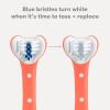 imageFrida Baby TripleAngle Toothhugger Training Toddler Toothbrush  Toddler Toothbrush 2 Years and Up Cleans All Sides at Once  YellowPink