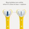 imageFrida Baby TripleAngle Toothhugger Training Toddler Toothbrush  Toddler Toothbrush 2 Years and Up Cleans All Sides at Once  YellowYellow