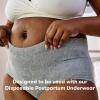 imageFrida Mom Postpartum Pads Leak Proof Feminine Care Maxi Pads 6 Layers of Protection for Maximum Absorbency 18ct2in1 Postpartum Pads