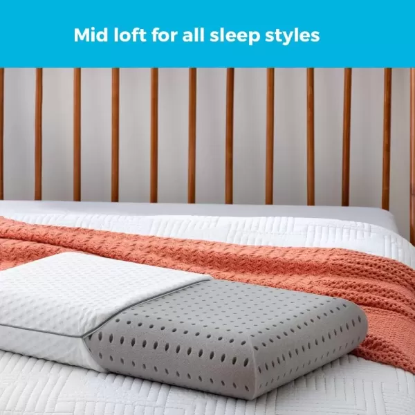 imageLINENSPA Pillow  Ventilated Gel  Memory Foam Pillows for Neck Support  Great for Side Back and Stomach Sleepers  King SizeCharcoal
