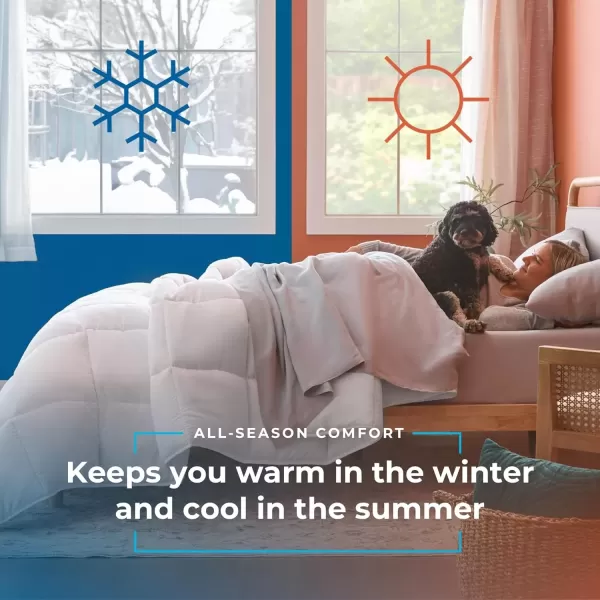 imageLINENSPA White Down Alternative Comforter and Duvet Insert  AllSeason Comforter  Box Stitched Comforter  Bedding for Kids Teens and Adults  Twin XLWhite