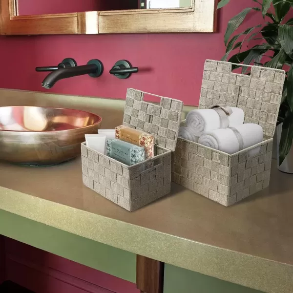 imageSorbus Storage Basket with Lid Mesh HandWoven Basket Decorative Storage Boxes with Lids Wicker Basket Organizers for Storage Variety Pack of 3  ChoclateBeige