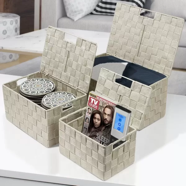 imageSorbus Storage Basket with Lid Mesh HandWoven Basket Decorative Storage Boxes with Lids Wicker Basket Organizers for Storage Variety Pack of 3  ChoclateBeige