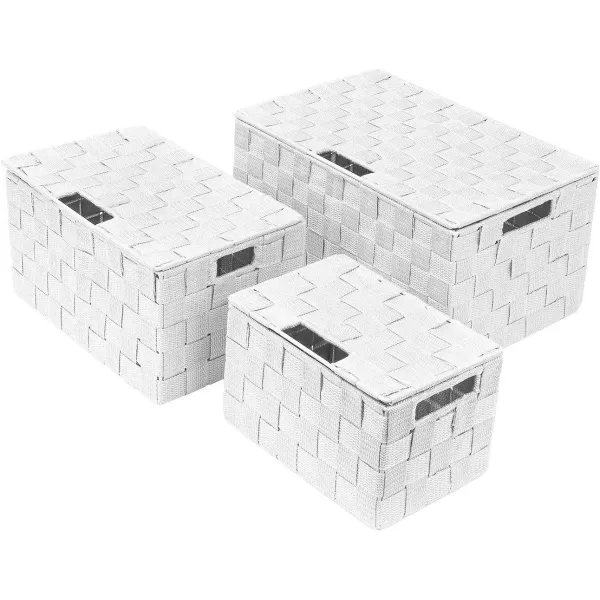 imageSorbus Storage Basket with Lid Mesh HandWoven Basket Decorative Storage Boxes with Lids Wicker Basket Organizers for Storage Variety Pack of 3  ChoclateWhite