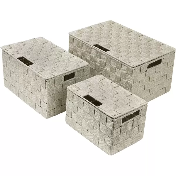 imageSorbus Storage Basket with Lid Mesh HandWoven Basket Decorative Storage Boxes with Lids Wicker Basket Organizers for Storage Variety Pack of 3  ChoclateBeige