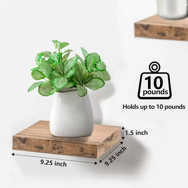 imageSorbus Square Floating Shelf for Wall  3 Small Shelves with Invisible Mounting Brackets for Living Room Decor Bedroom Bathroom Decor Home ampamp Kitchen  9quot White Wall Shelf to Display Photos TrophiesMahogany