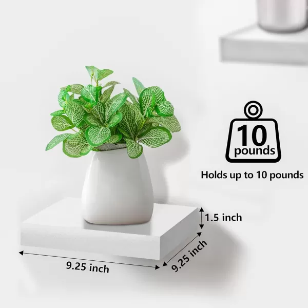 imageSorbus Square Floating Shelf for Wall  3 Small Shelves with Invisible Mounting Brackets for Living Room Decor Bedroom Bathroom Decor Home ampamp Kitchen  9quot White Wall Shelf to Display Photos TrophiesWhite