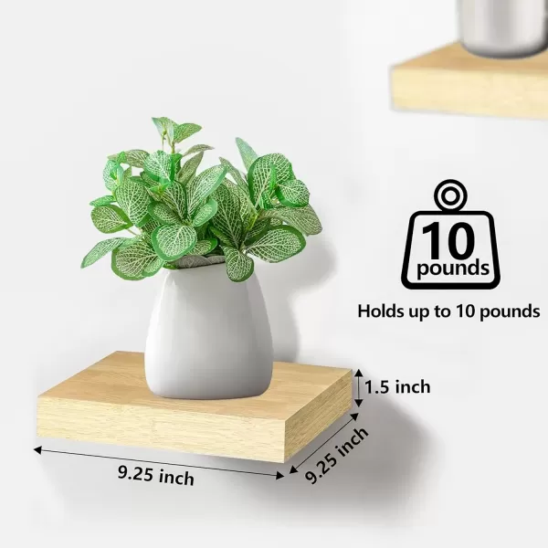 imageSorbus Square Floating Shelf for Wall  3 Small Shelves with Invisible Mounting Brackets for Living Room Decor Bedroom Bathroom Decor Home ampamp Kitchen  9quot White Wall Shelf to Display Photos TrophiesMaple Wood