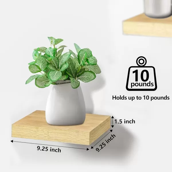 imageSorbus Square Floating Shelf for Wall  3 Small Shelves with Invisible Mounting Brackets for Living Room Decor Bedroom Bathroom Decor Home ampamp Kitchen  9quot White Wall Shelf to Display Photos TrophiesMaple Wood