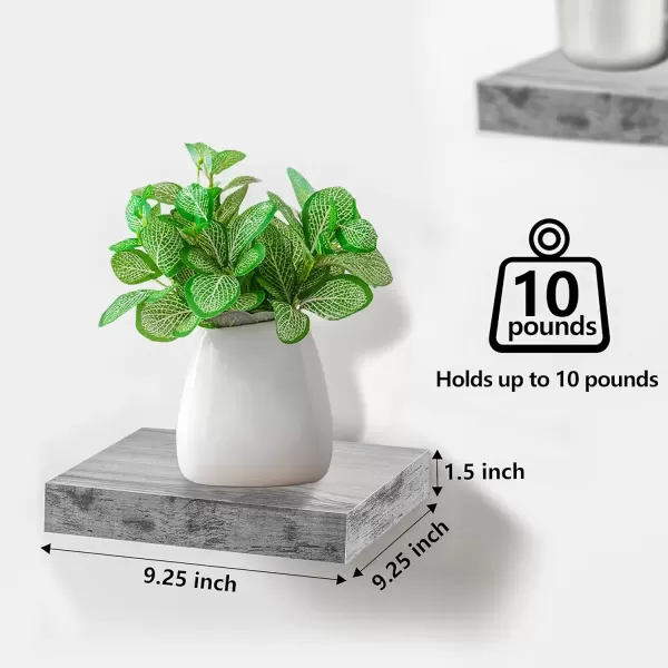 imageSorbus Square Floating Shelf for Wall  3 Small Shelves with Invisible Mounting Brackets for Living Room Decor Bedroom Bathroom Decor Home ampamp Kitchen  9quot White Wall Shelf to Display Photos TrophiesRustic Grey