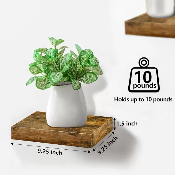 imageSorbus Square Floating Shelf for Wall  3 Small Shelves with Invisible Mounting Brackets for Living Room Decor Bedroom Bathroom Decor Home ampamp Kitchen  9quot White Wall Shelf to Display Photos TrophiesWalnut
