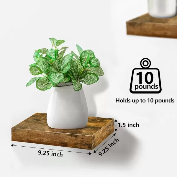 imageSorbus Square Floating Shelf for Wall  3 Small Shelves with Invisible Mounting Brackets for Living Room Decor Bedroom Bathroom Decor Home ampamp Kitchen  9quot White Wall Shelf to Display Photos TrophiesWalnut