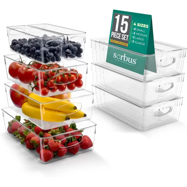 imageSorbus 10Pack Small Clear Plastic Organizing Bins  Clear Bins for Organizing Refrigerator Organizers Fridge Organizer Pantry Storage Kitchen Organizer and Pantry Organizers and Storage BinsVariety Pack