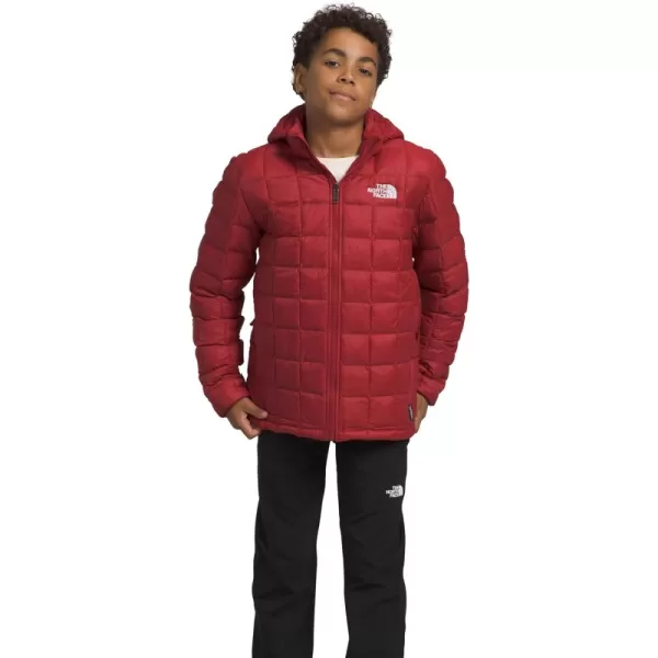 Next Product Image