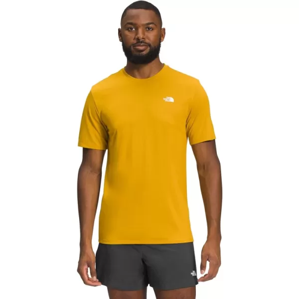 Arrowwood Yellow