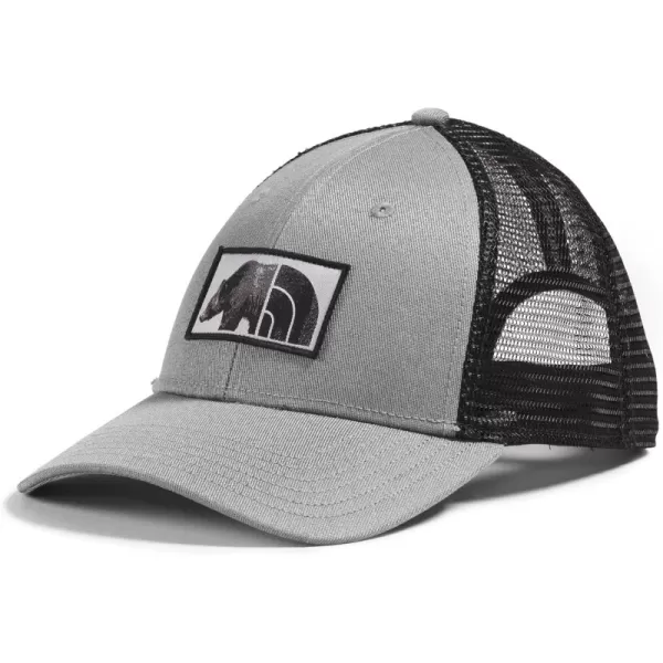Tnf Medium Grey Heather/Bear Graphic