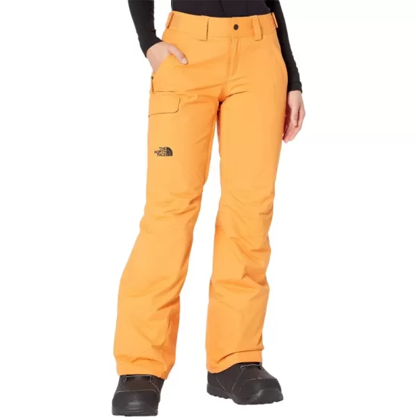 Women's Freedom Insulated Pant - Regular Topaz